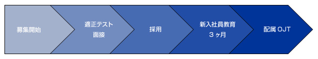 採用の流れ（新卒）